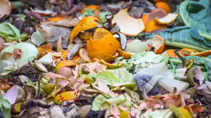 Food, Green and Organic Waste-1